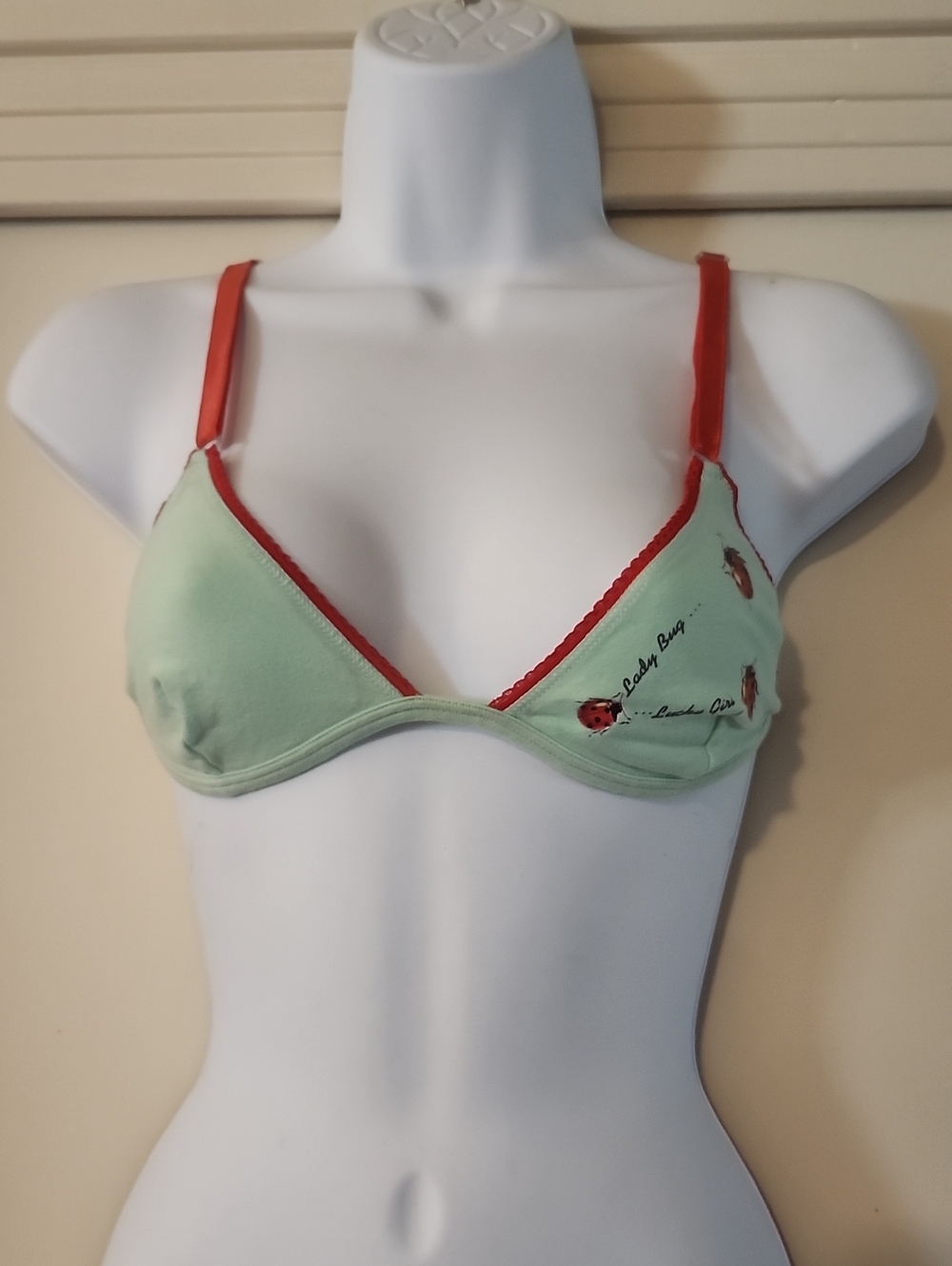 D&G Mint Green Bra with Red Straps and Ladybug Motif 32